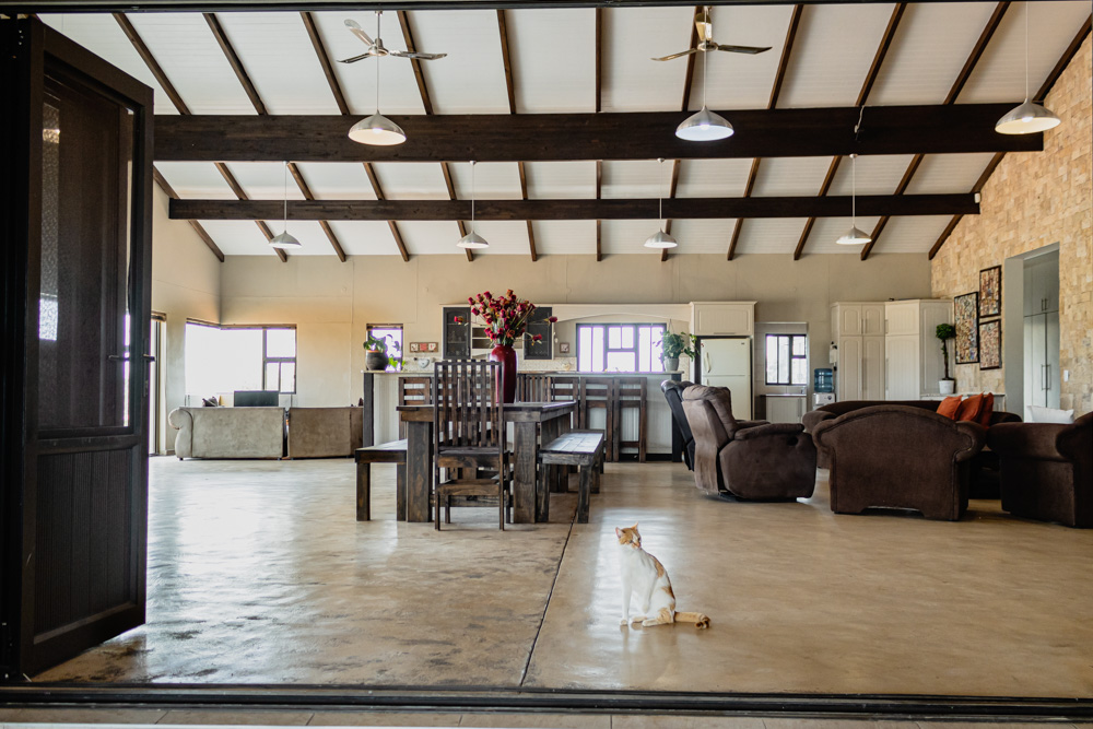 PLOT_INTERIOR_WEB-3